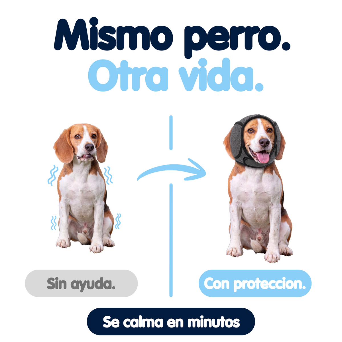 Orejeras Calmantes